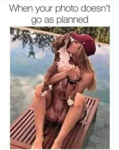 Stupid Bar Memes de2d62f14027785a