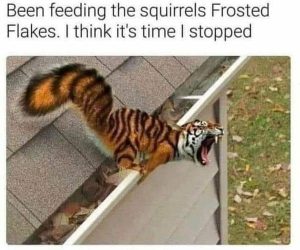Stupid Bar Memes e1513ae1af576313