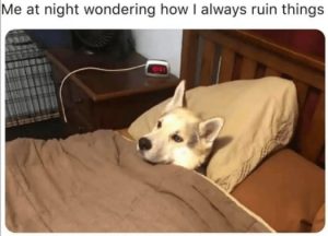 Stupid Bar Memes e2e0f70477cd5aa7