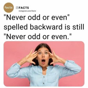 Stupid Bar Memes e3a86ae877a24d67