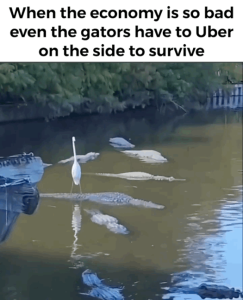 Stupid Bar Memes e48672b8302e263f