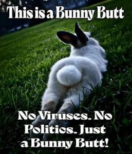 Stupid Bar Memes e6ac7b1ae014a53f