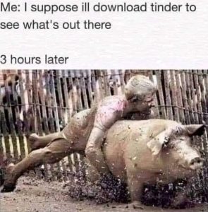 Stupid Bar Memes e7c53b1f4906c20e