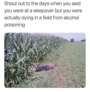 Stupid Bar Memes e7e1d419c2123227
