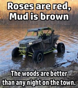 Stupid Bar Memes e91be92f46a08166