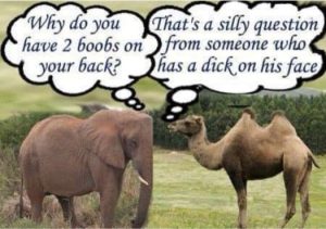 Stupid Bar Memes ea51b0769d2c2a6d