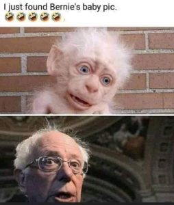 Stupid Bar Memes ec47e9a15f5a6d30