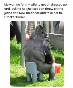 Stupid Bar Memes ec4e7f3260d2488e