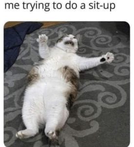 Stupid Bar Memes ecd3126f8cd8a427