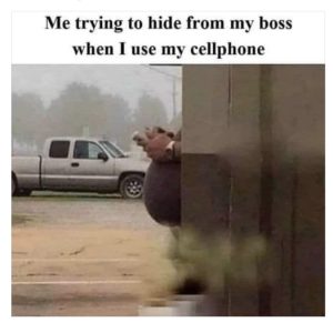 Stupid Bar Memes edcffea3ce2efaed