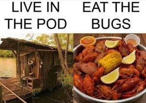 Stupid Bar Memes ee793f90af27edeb