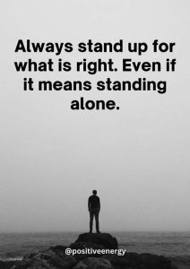 Stupid Bar Memes ef3ef6128d68930c