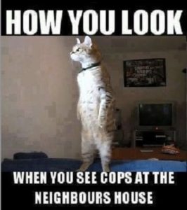 Stupid Bar Memes f3f27d4dc08017e2