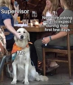 Stupid Bar Memes f5b762f5fae413f5