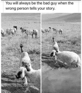Stupid Bar Memes f65287506168d525
