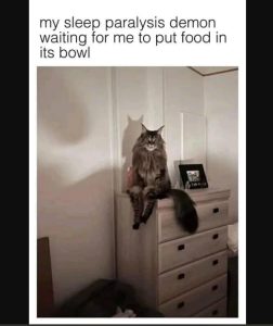 Stupid Bar Memes fa80e95b0bcc32cf