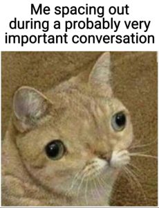 Stupid Bar Memes fc2329f651a716bd