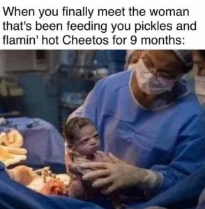 Stupid Bar Memes fddabb449720ce37