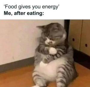 Stupid Bar Memes funnysfoodsjokessmemesswannabesfood8s6410764d618bass700