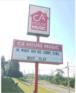 Stupid Bar Memes funnyspicss640shighs36