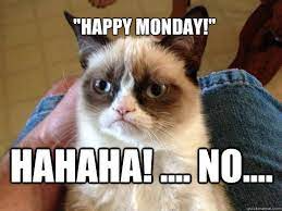 Stupid Bar Memes gcmonday44545