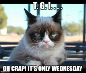 Stupid Bar Memes gcwed33234