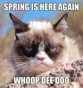 Stupid Bar Memes gycatspr454time