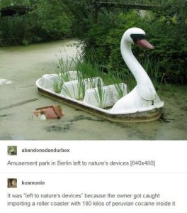 Stupid Bar Memes hfqu74wgwbma1