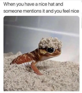 Stupid Bar Memes iRg0Ct6