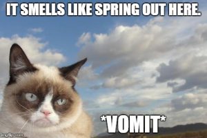 Stupid Bar Memes igv54