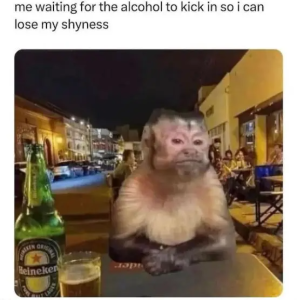 Stupid Bar Memes introvertsmemess9