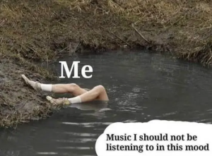 Stupid Bar Memes pItxurU