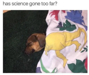 Stupid Bar Memes qXQq0Le