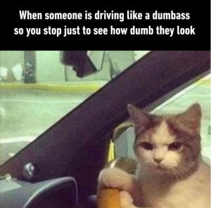Stupid Bar Memes yousdrivings2