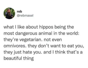 Stupid Bar Memes znzRxlr