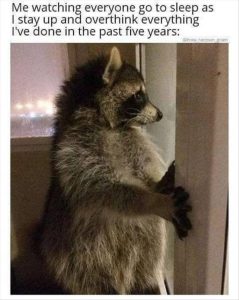 Stupid Bar Memes zsfunnys42