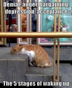 Stupid Bar Memes zsmemess26s1