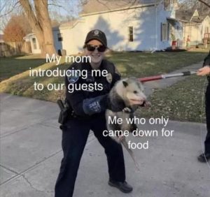 Stupid Bar Memes zzsmemess86