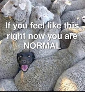 Stupid Bar Memes 05be9cb1a0ef15bc