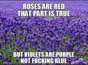 Stupid Bar Memes 09c6a214b992f7dd