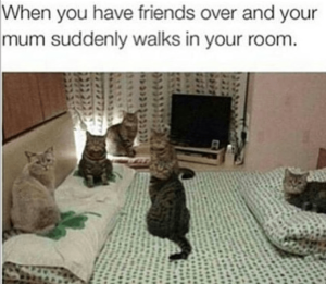 Stupid Bar Memes 0b1414231f8655cf
