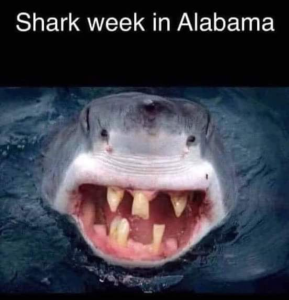 Stupid Bar Memes 0cb927a69230b6a5