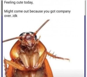 Stupid Bar Memes 167062eaf224ad53