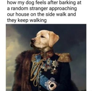 Stupid Bar Memes 169b49ebad431e3e