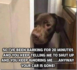 Stupid Bar Memes 17127a7ad8b7a99c