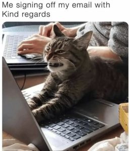 Stupid Bar Memes 18d66d8d9d8eb576