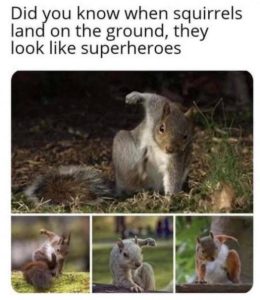 Stupid Bar Memes 19805a6b602f8b4f