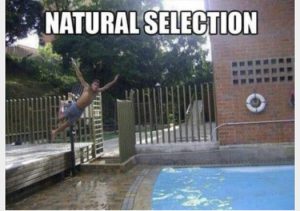 Stupid Bar Memes 1b5e94d4d57ea546
