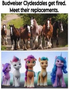 Stupid Bar Memes 1cf2e939ec5d2e4c