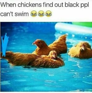 Stupid Bar Memes 1d29763ae75f2f9c